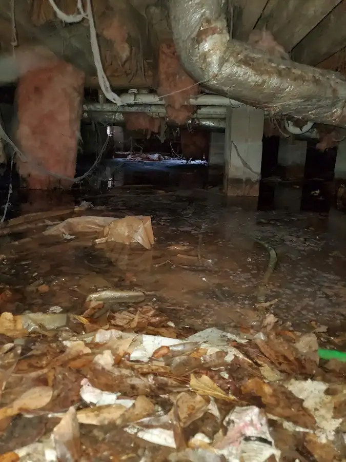 Crawl space flood assessment for Commercial Water Damage Restoration in Makawao