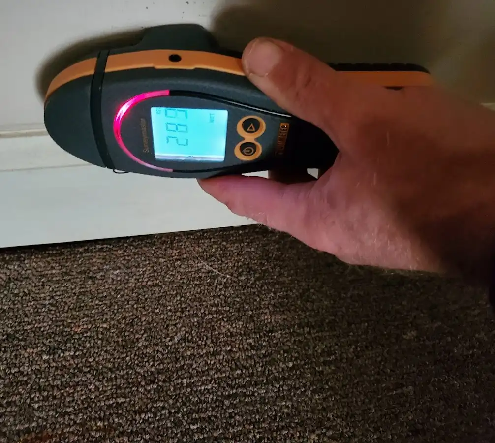 Moisture detection at baseboard during Sewage Cleanup & Sanitation in Makawao